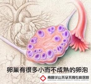 卵泡发育不良不怀孕怎么治好